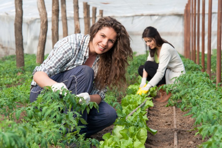 FORMAÇÃO BÁSICA DE AGRICULTURA